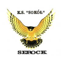 Podsumowanie rundy jesiennej w drużynach piłkarskich Sokoła Serock